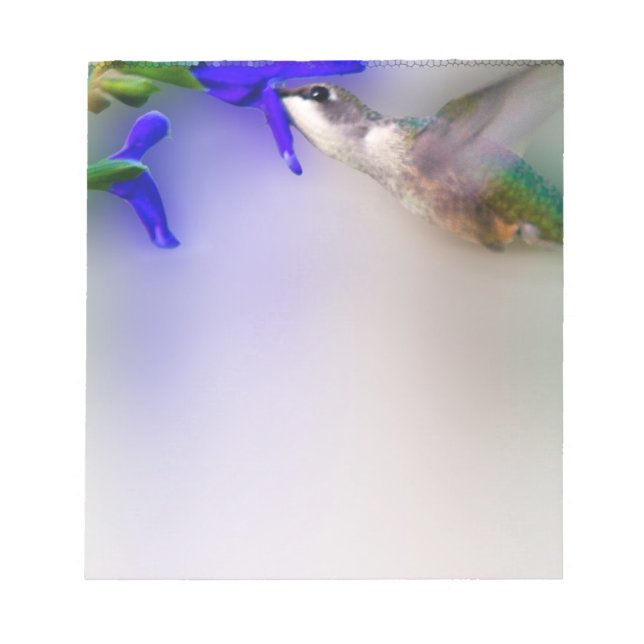 Hummingbird Lunch Anteckningsblock (Framsida)