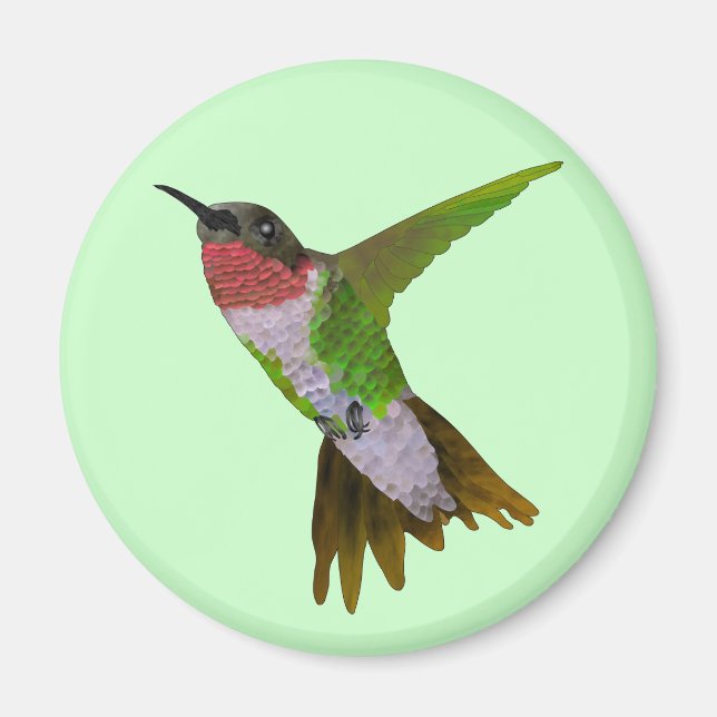 Hummingbird Magnet (Framsidan)