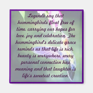 Hummingbird Magnet