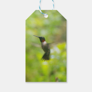 Hummingbird-märkre Presentetikett