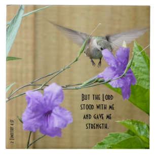 Hummingbird matande på blomma med klocka kakelplatta