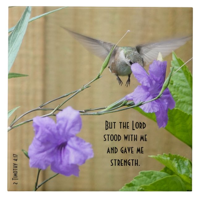 Hummingbird matande på blomma med klocka kakelplatta (Framsidan)