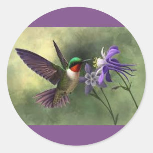 Hummingbird Matande på en blommans blodstämpel Runt Klistermärke