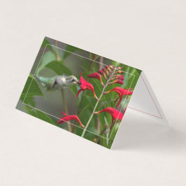 Hummingbird Matande rödkrokosmia Kort