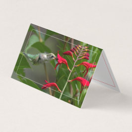 Hummingbird Matande rödkrokosmia Kort