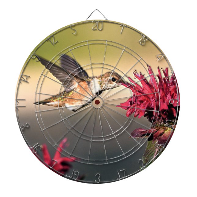 Hummingbird Matar Darttavla (Framsidan)