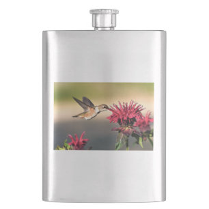 Hummingbird Matar Fickplunta