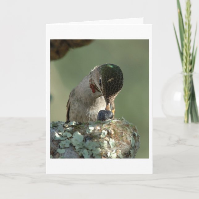 Hummingbird matar tid kort (Framsida)
