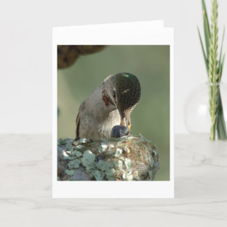 Hummingbird matar tid kort