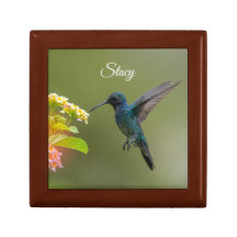 Hummingbird med blomsterlåda
