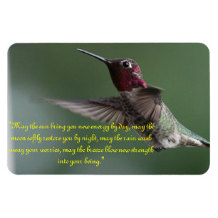 Hummingbird med det Apache ordstävet Magnet