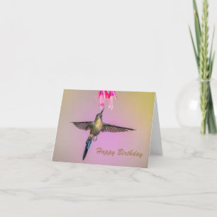 Hummingbird med Lång Svan som flyger Grattis på fö Kort