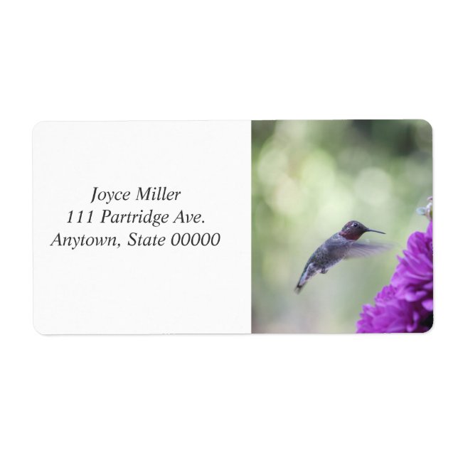 Hummingbird med lila dahlias fraktsedel (Framsidan)