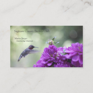 Hummingbird med lila dahlias visitkort