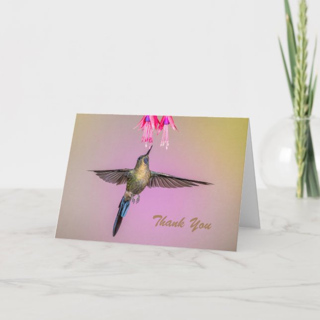 Hummingbird med Long Svan Tack Kort (Framsida)