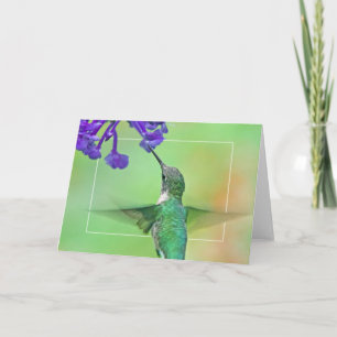 Hummingbird med Mona lavendel Kort