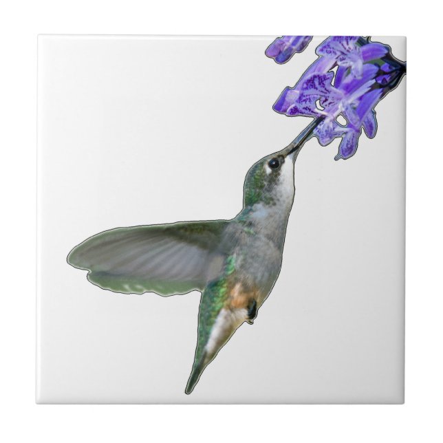 Hummingbird med Mona Lavender Kakelplatta (Framsidan)