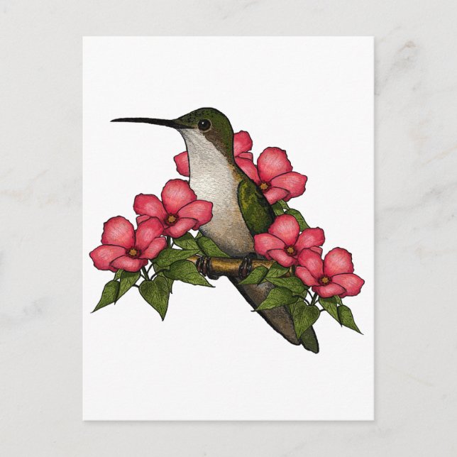 Hummingbird med Rosa Flowers: Naturart Vykort (Framsida)
