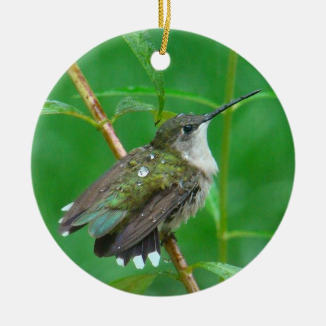 Hummingbird med spridd vingar julgransprydnad keramik (Framsidan)