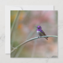 Hummingbird med vackra lilor