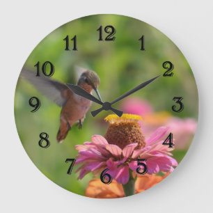 Hummingbird med Zinniablomman Stor Klocka