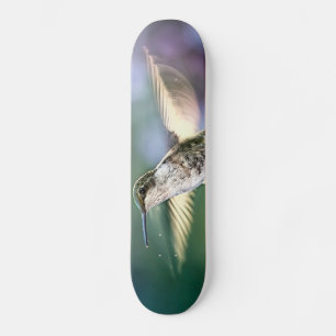 Hummingbird Mini Skateboard Bräda 18,5 Cm