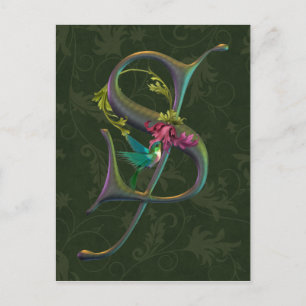 Hummingbird Monogram S Vykort