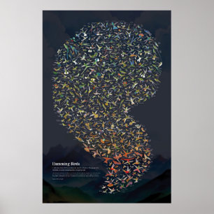 Hummingbird - Mörk Poster