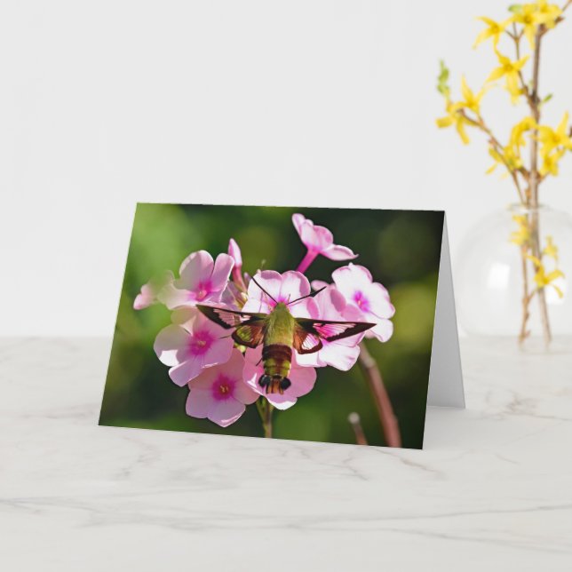 Hummingbird Moth Blank Greeting Card Kort (Gul blomma)