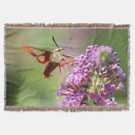 Hummingbird Moth på Butterfly Bush Filt