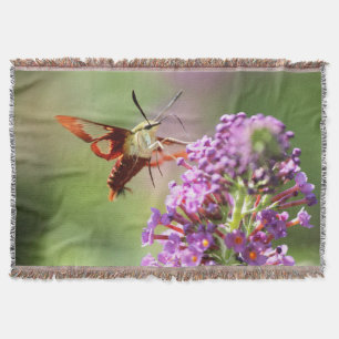 Hummingbird Moth på Butterfly Bush Filt