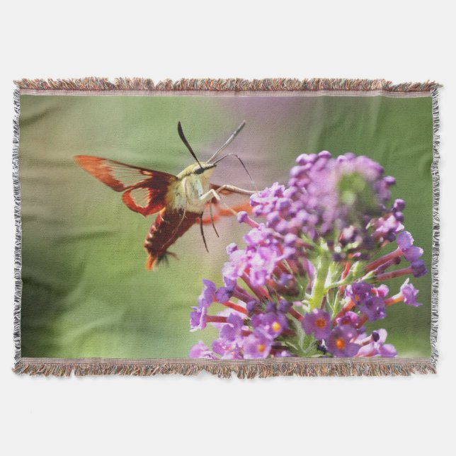 Hummingbird Moth på Butterfly Bush Filt (Framsidan)