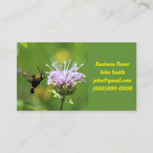 Hummingbird Moth Visitkort