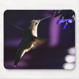 Hummingbird Mouse Pad Musmatta