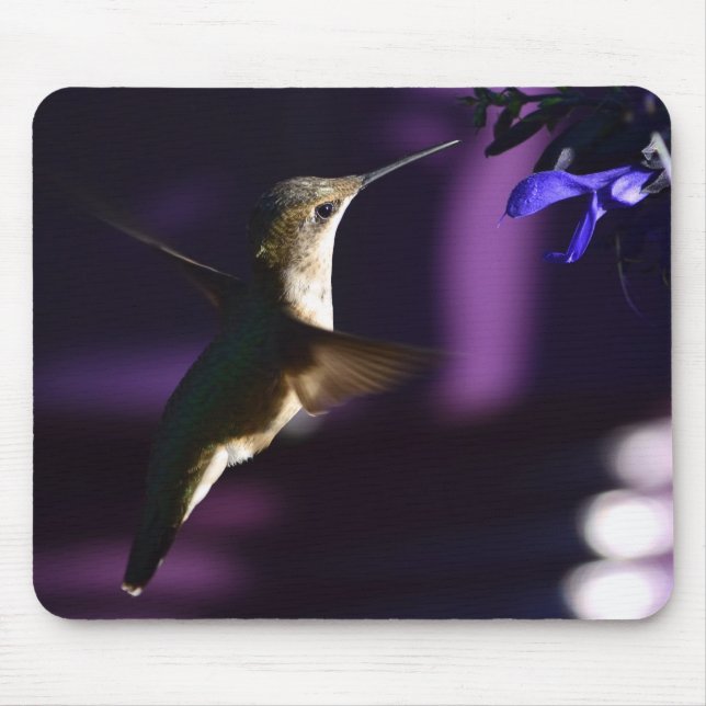 Hummingbird Mouse Pad Musmatta (Framsidan)