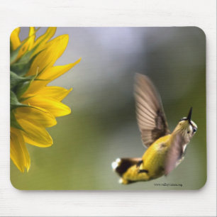 Hummingbird Mouse Pad Musmatta