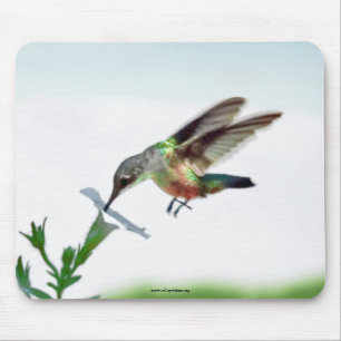 Hummingbird Mouse Pad Musmatta