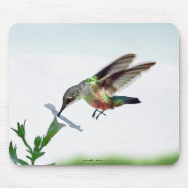 Hummingbird Mouse Pad Musmatta (Framsidan)