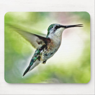 Hummingbird Mouse Pad Musmatta