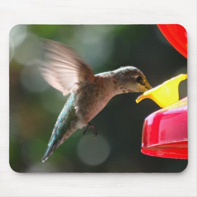 Hummingbird mousepad musmatta (Framsidan)