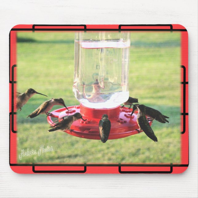 Hummingbird Mousepad Musmatta (Framsidan)