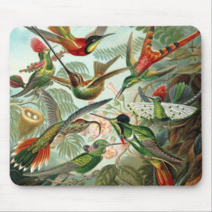 Hummingbird Mousepad Musmatta