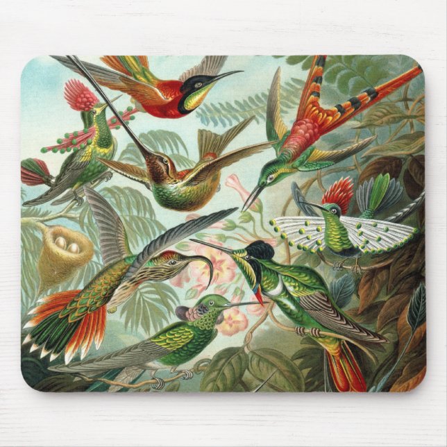 Hummingbird Mousepad Musmatta (Framsidan)