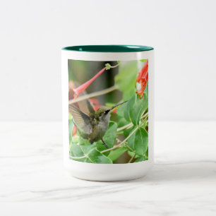 Hummingbird Mugg