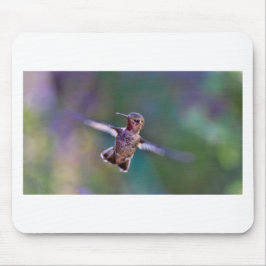 Hummingbird Musmatta