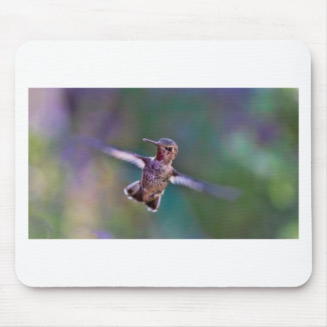 Hummingbird Musmatta (Framsidan)