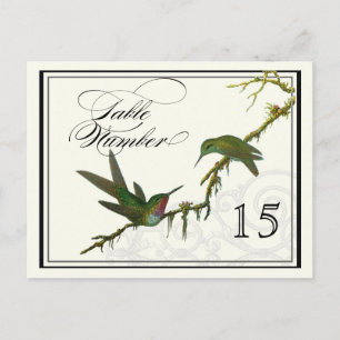 Hummingbird n Swirls - Bord Placecard-nummer Vykort