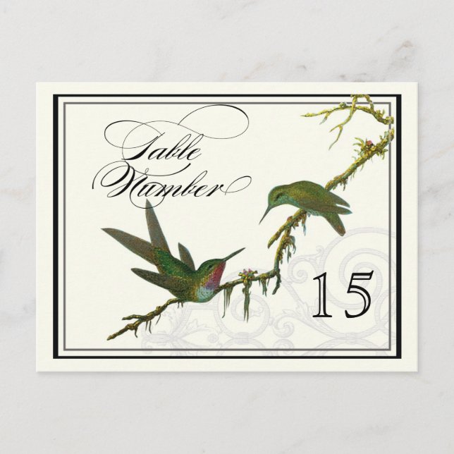 Hummingbird n Swirls - Bord Placecard-nummer Vykort (Framsida)