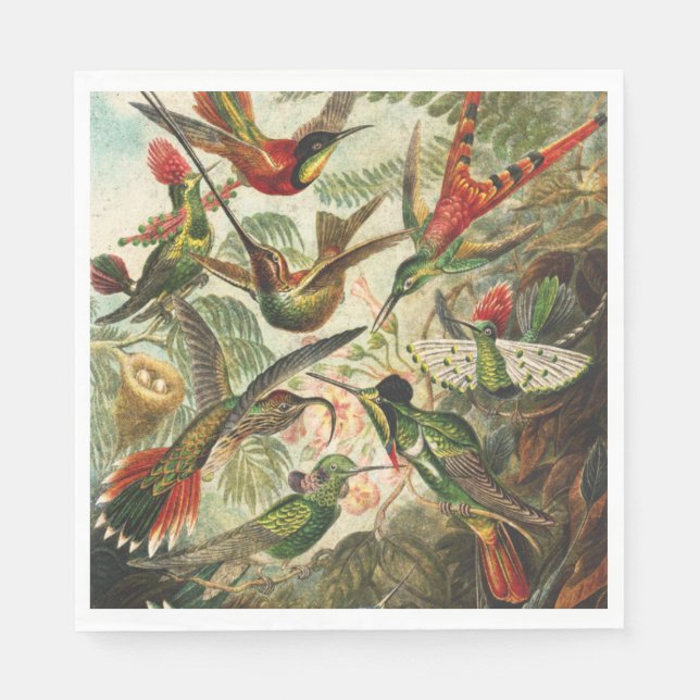 Hummingbird Napkins eller Decoupage Pappersservett (Framsidan)