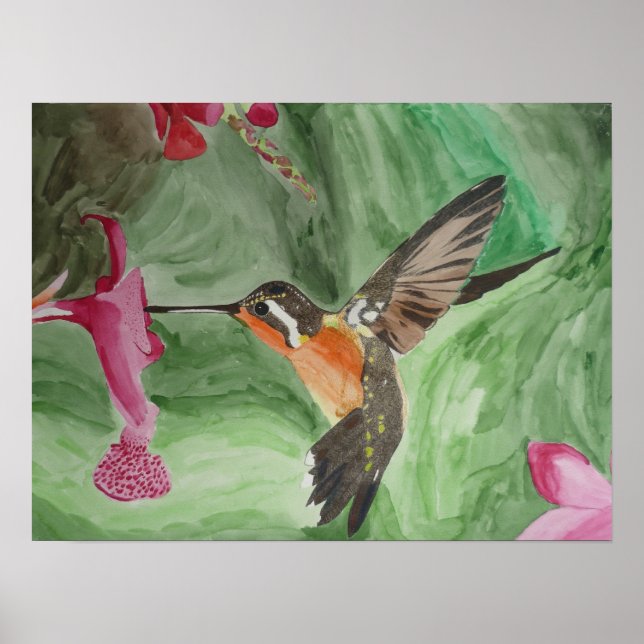 Hummingbird Nectar Poster (Framsidan)